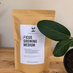 May include: A brown paper bag of Ficus Growing Medium with a white label. The label includes the text "mixed by hand + organic" and instructions for use. A large green leaf and a potted plant are visible on a wooden surface.