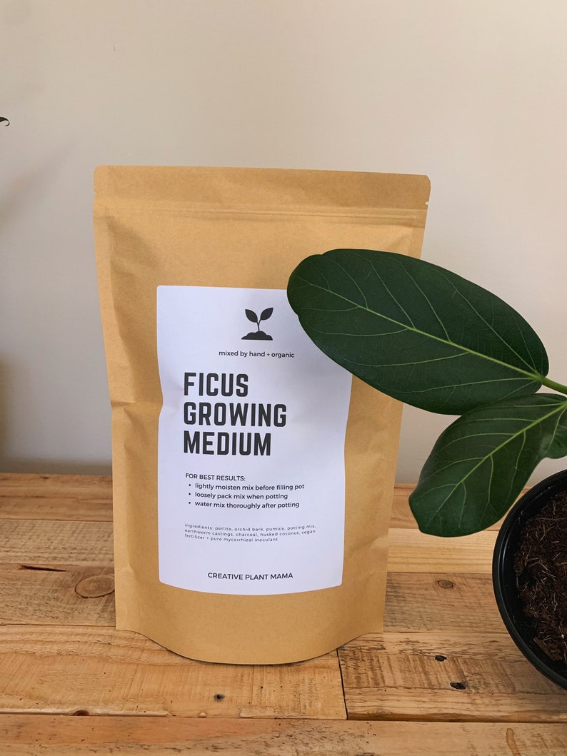 May include: A brown paper bag of Ficus Growing Medium with a white label. The label includes the text "mixed by hand + organic" and instructions for use. A large green leaf and a potted plant are visible on a wooden surface.