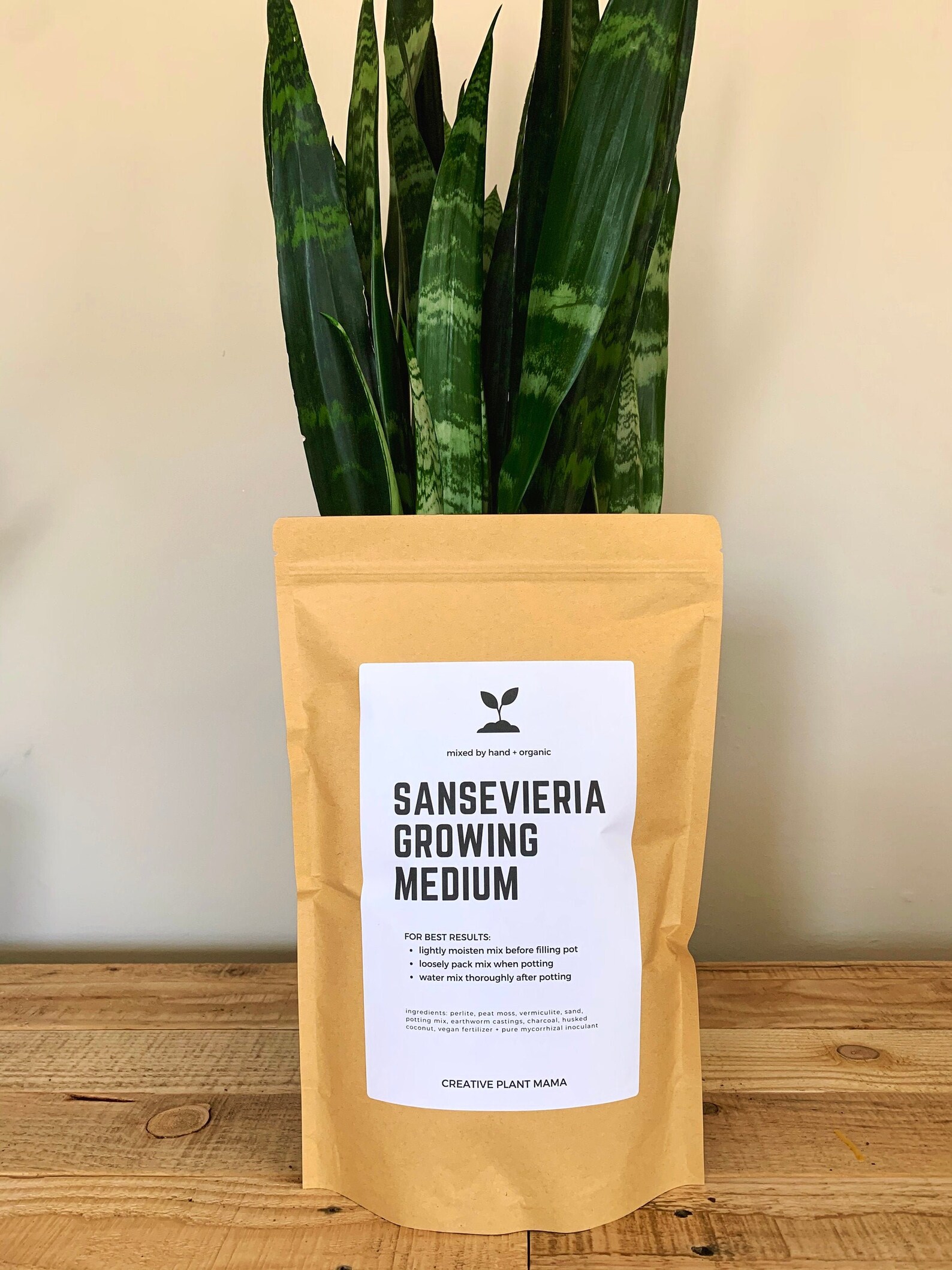 SANSEVIERIA Soil Mix Custom Organic Houseplant Growing Etsy