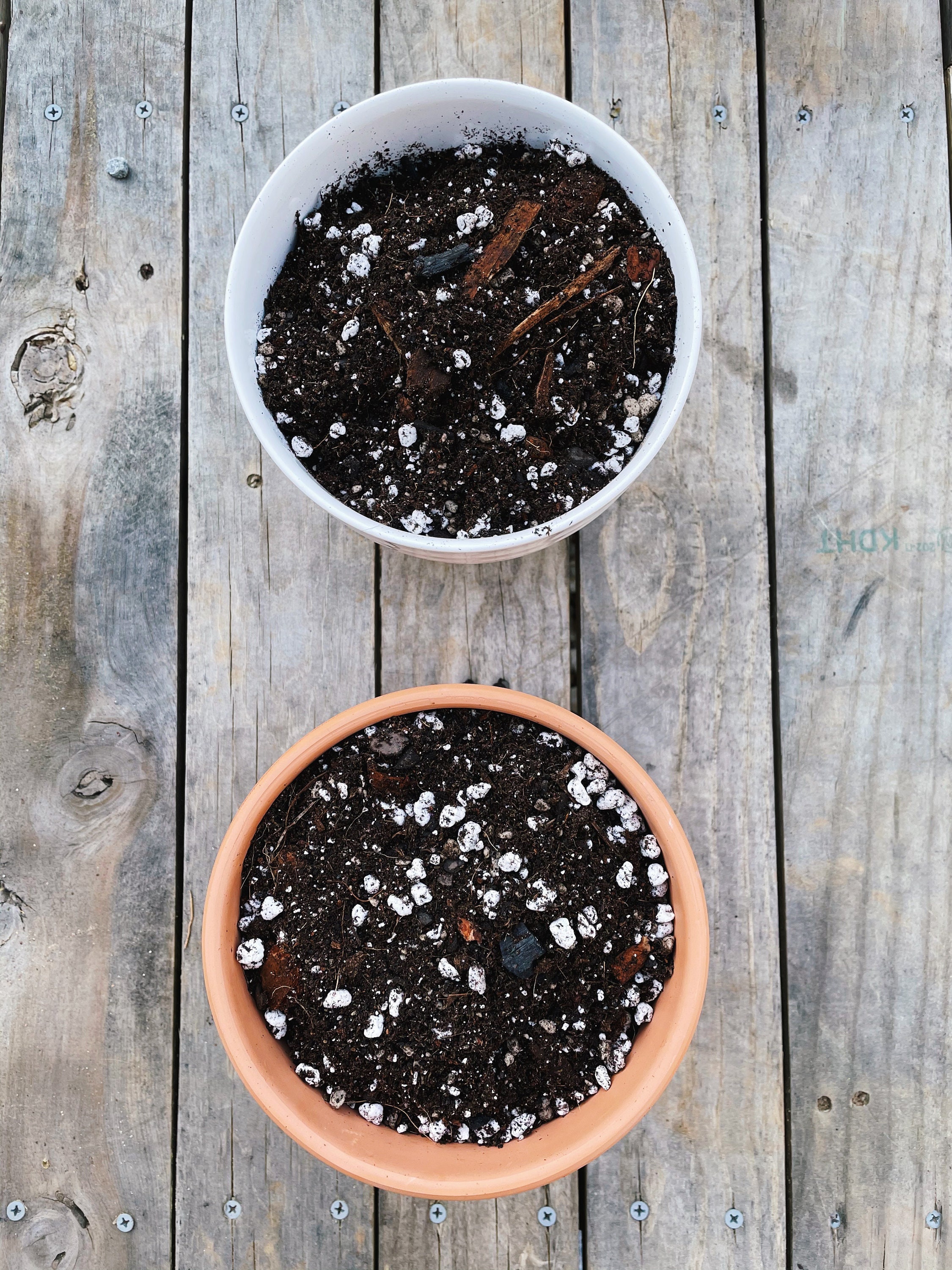 PHILODENDRON Houseplant Soil Mix Custom Organic Growing Etsy