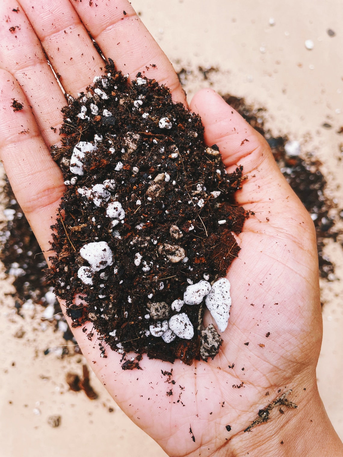 Premium Tropical Soil Mix Custom Organic Houseplant Growing Etsy