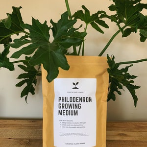 May include: A tan paper bag of Philodendron Growing Medium sits in front of a large green plant. The bag has a white label with black text that reads "Philodendron Growing Medium" and "Creative Plant Mama".