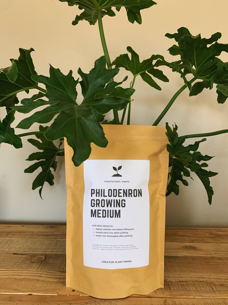 May include: A tan paper bag of Philodendron Growing Medium sits in front of a large green plant. The bag has a white label with black text that reads "Philodendron Growing Medium" and "Creative Plant Mama".