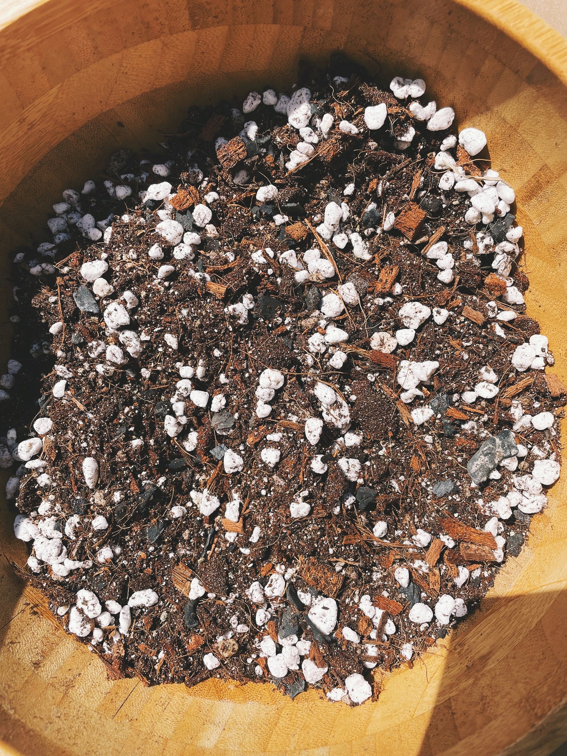 ZZ Plant Soil Mix Custom Organic Houseplant Growing Medium