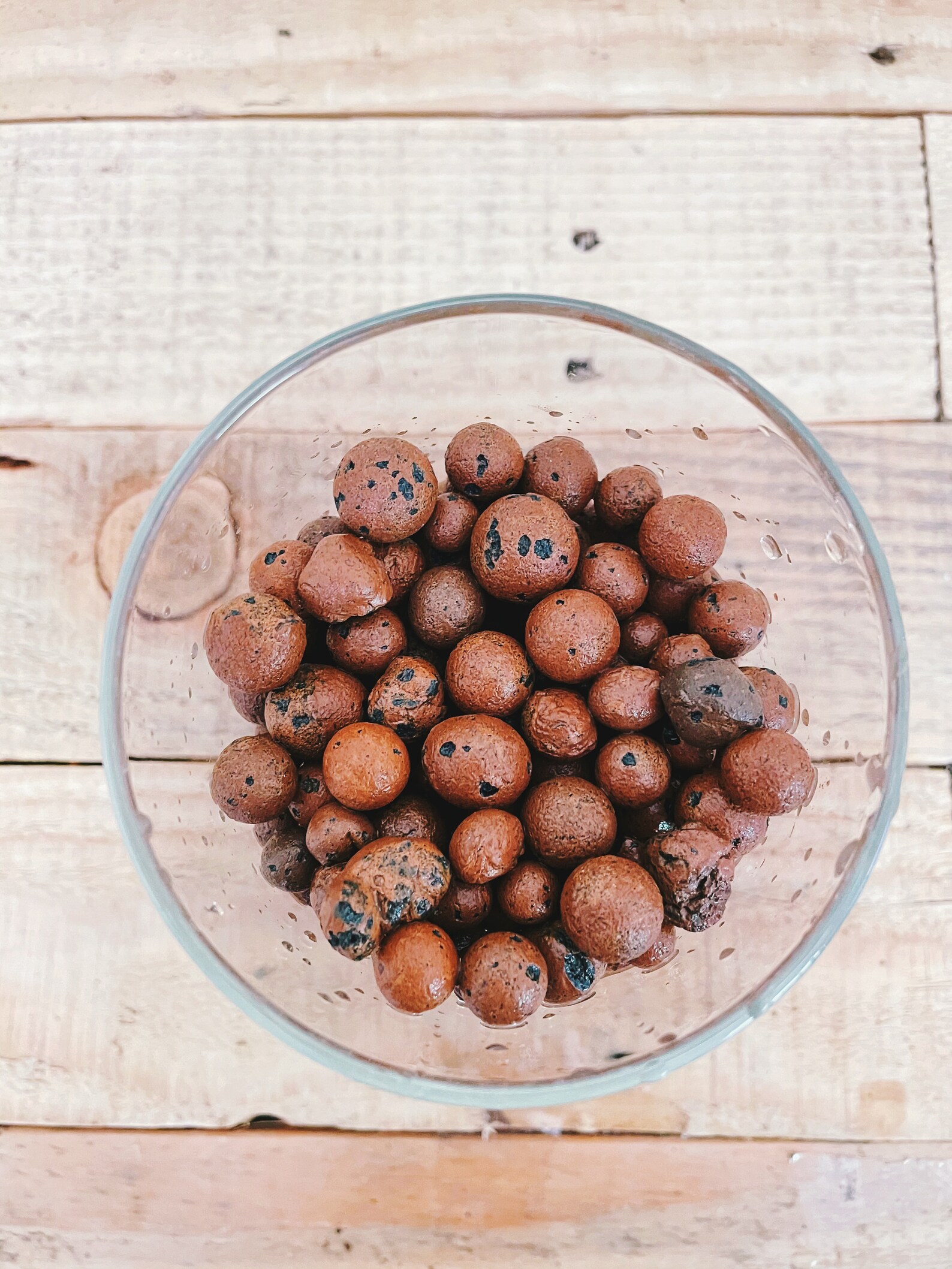 LECA Growing Medium 3 LBS Expanded Clay Balls Hydro Etsy