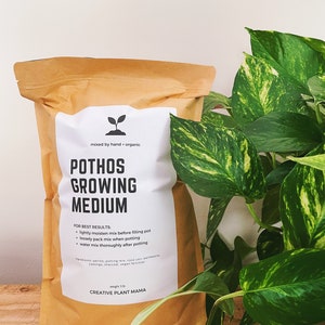 POTHOS Soil Mix - Houseplant Growing Medium - 3 LB / 2 Gallon