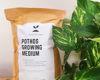 POTHOS Soil Mix - Houseplant Growing Medium - 3 LB / 2 Gallon
