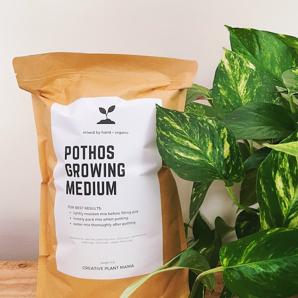 POTHOS Soil Mix - Houseplant Growing Medium - 3 LB / 2 Gallon