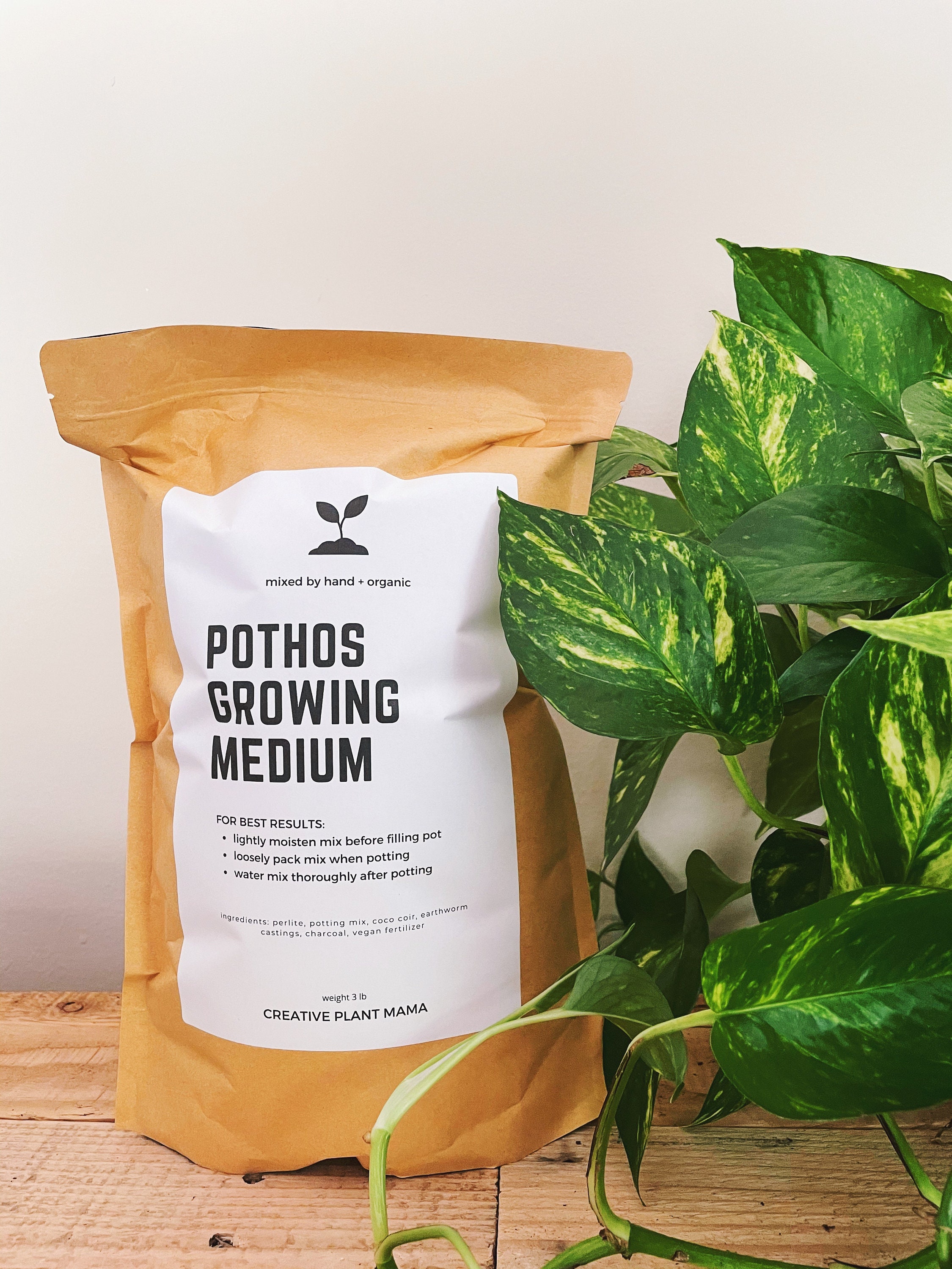 POTHOS Houseplant Potting Soil Custom Organic Growing Etsy