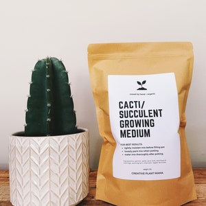 CACTI/SUCCULENT Soil Mix - Houseplant Growing Medium - 3 LB  / 2 Gallon