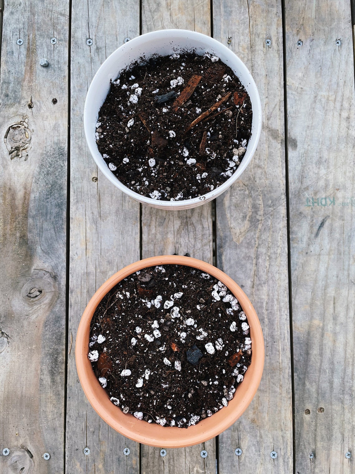 ALOCASIA Soil Mix Custom Organic Houseplant Growing Medium Etsy