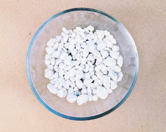 Coarse & Chunky Perlite - 1 LB - Soil Amendment