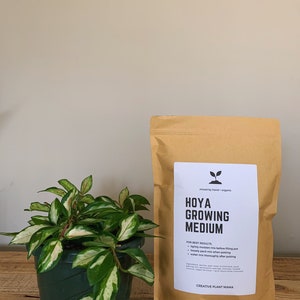 May include: A potted Hoya plant with green and white variegated leaves sits next to a brown paper bag labeled "HOYA GROWING MEDIUM" with instructions. The bag is from "CREATIVE PLANT MAMA". The plant pot is dark green.