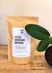 FICUS Soil Mix - Houseplant Growing Medium - 3 LB Bag 