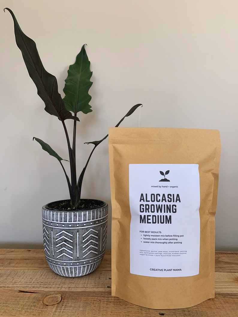Custom Houseplant Soil Mixes / Philodendron Monstera | Etsy