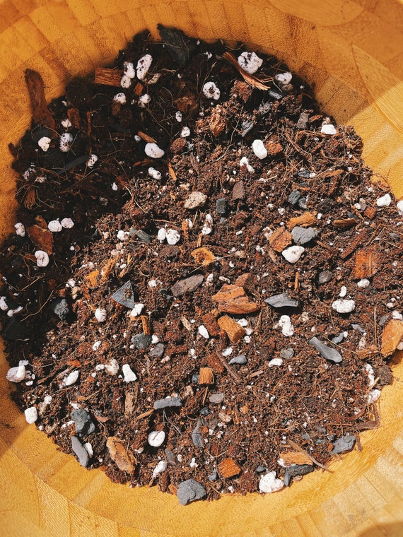 CALATHEA Soil Mix - Houseplant Growing Medium - 3 LB / 2 Gallon - Etsy  sterreich