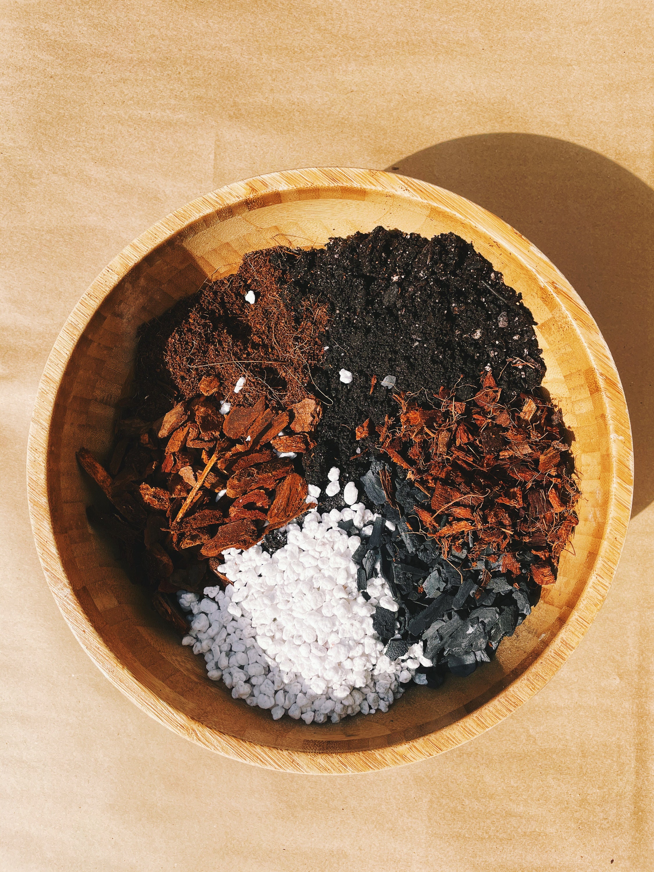 ANTHURIUM Soil Mix Houseplant Growing Medium 3 LB Bag Etsy