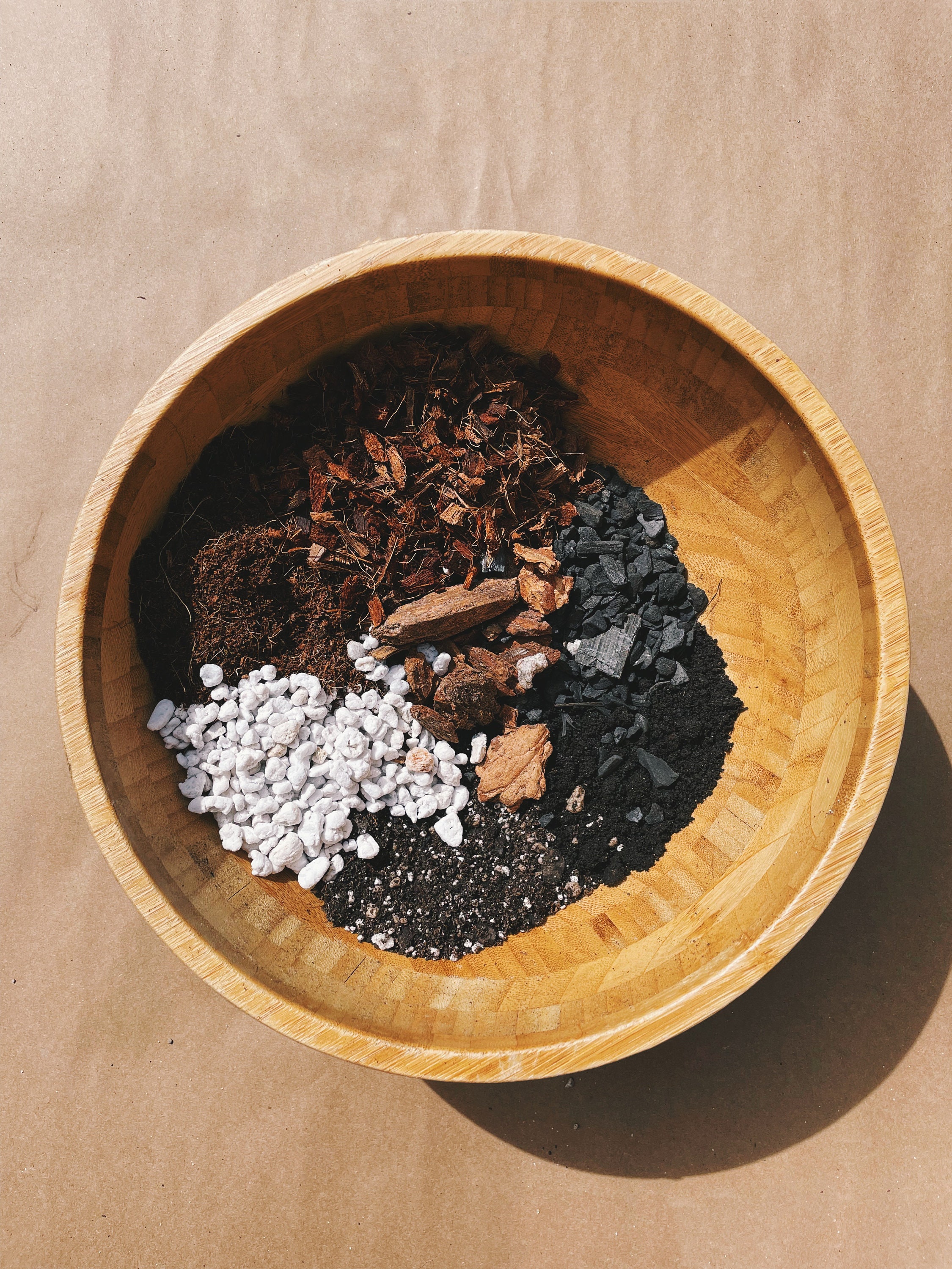 SCINDAPSUS Soil Mix Custom Organic Houseplant Growing Etsy