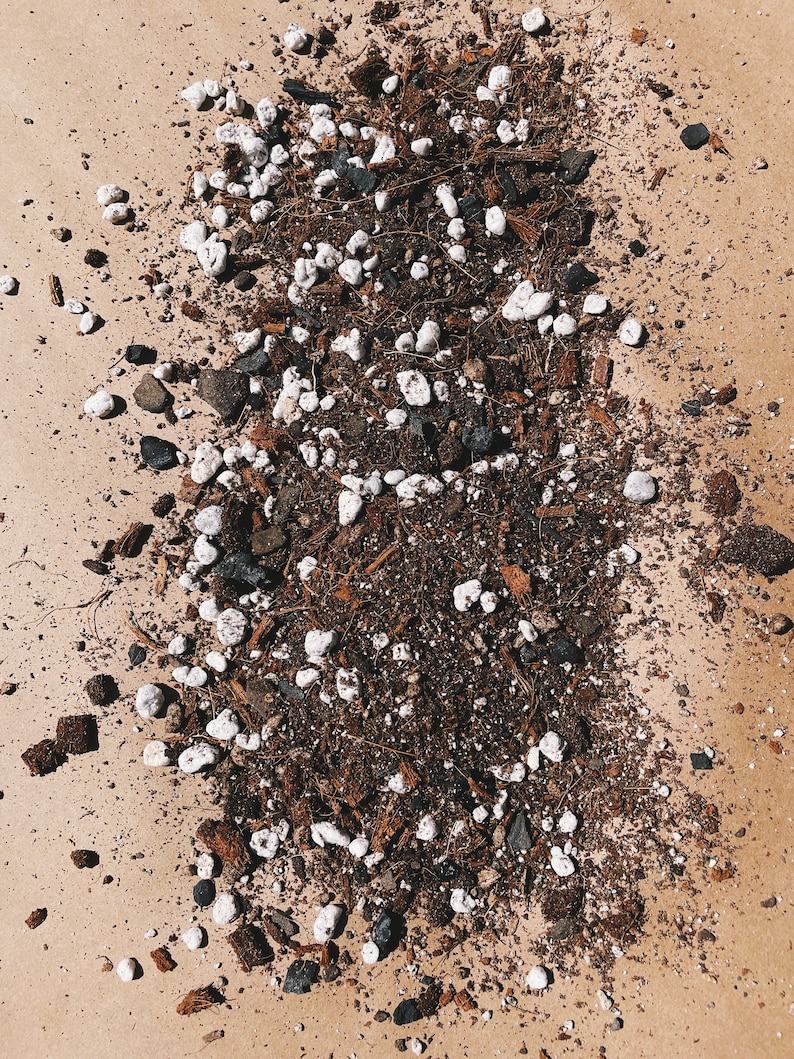 ZZ Plant Soil Mix Houseplant Growing Medium 3 LB / 2 Etsy