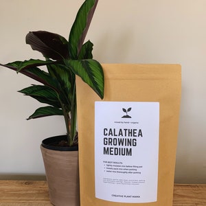 May include: A potted Calathea plant with green and purple leaves stands next to a brown paper bag labeled "CALATHEA GROWING MEDIUM." The bag has a white label with black text and a small plant icon. The text "CREATIVE PLANT MAMA" is at the bottom.