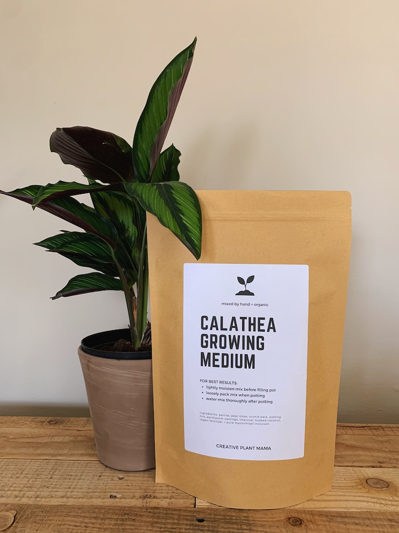 May include: A potted Calathea plant with green and purple leaves stands next to a brown paper bag labeled "CALATHEA GROWING MEDIUM." The bag has a white label with black text and a small plant icon. The text "CREATIVE PLANT MAMA" is at the bottom.