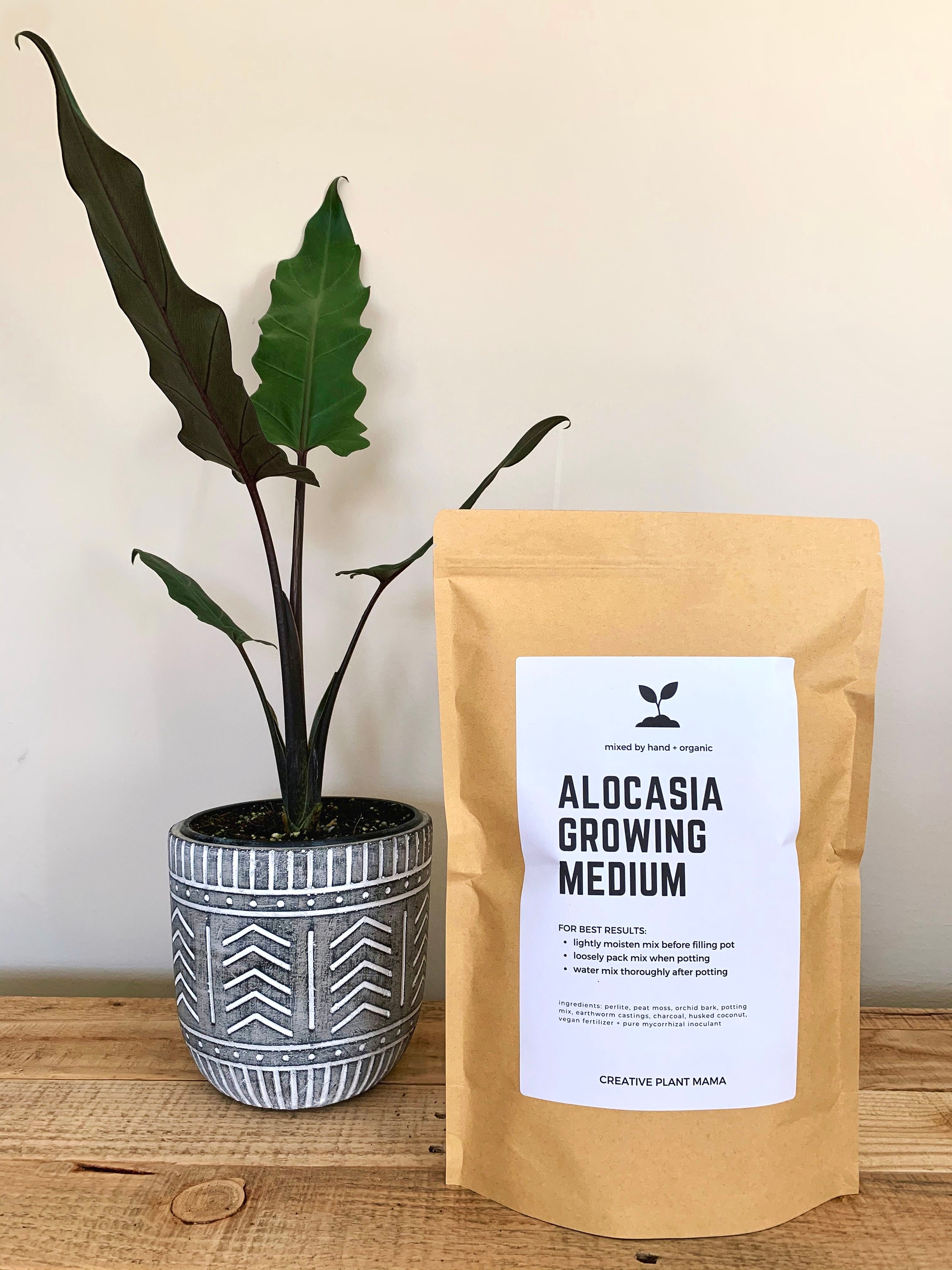ALOCASIA Soil Mix - Houseplant Growing Medium - 3 LB / 2 Gallon - Etsy