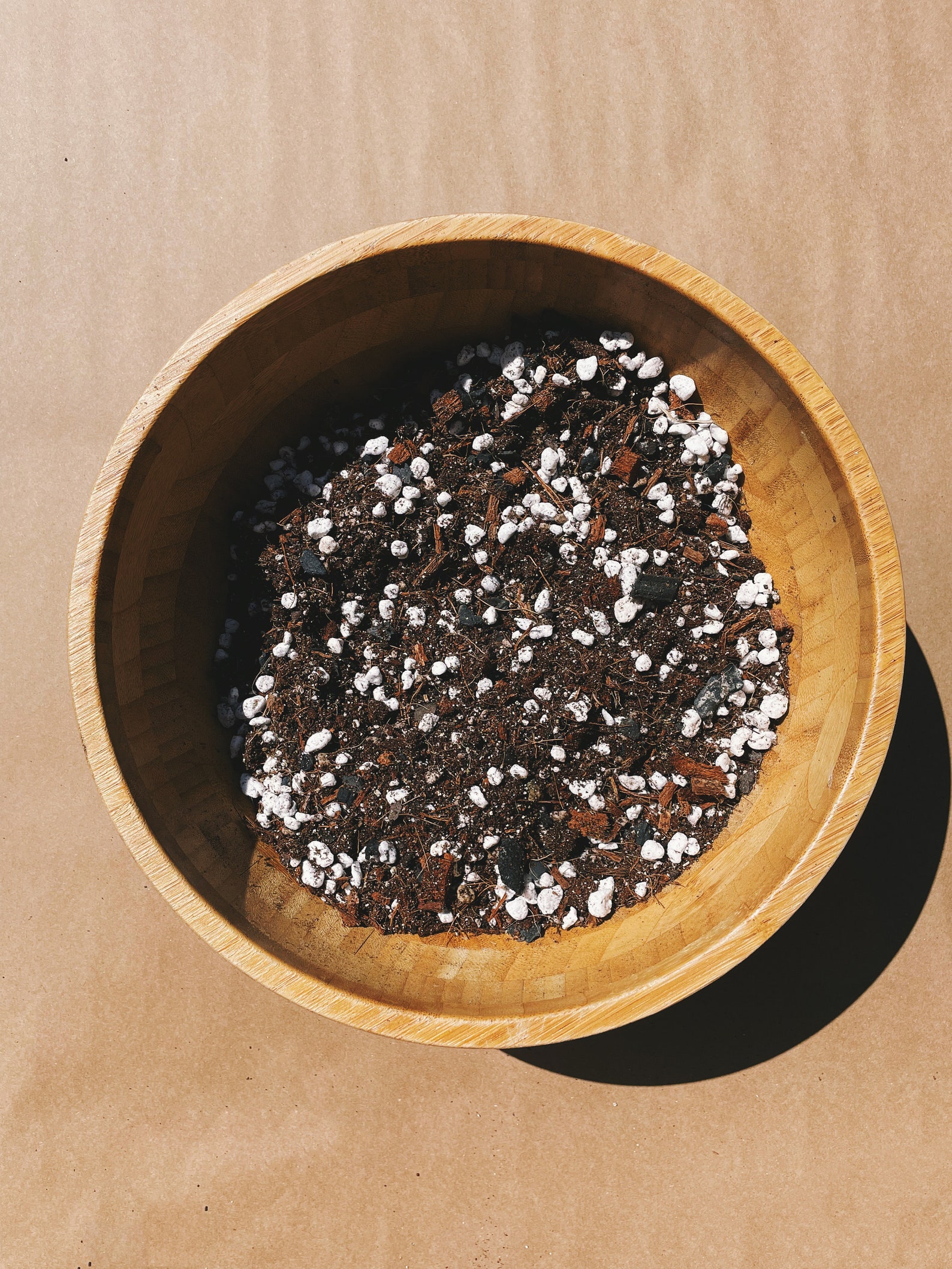 ZZ Plant Soil Mix Custom Organic Houseplant Growing Medium Etsy