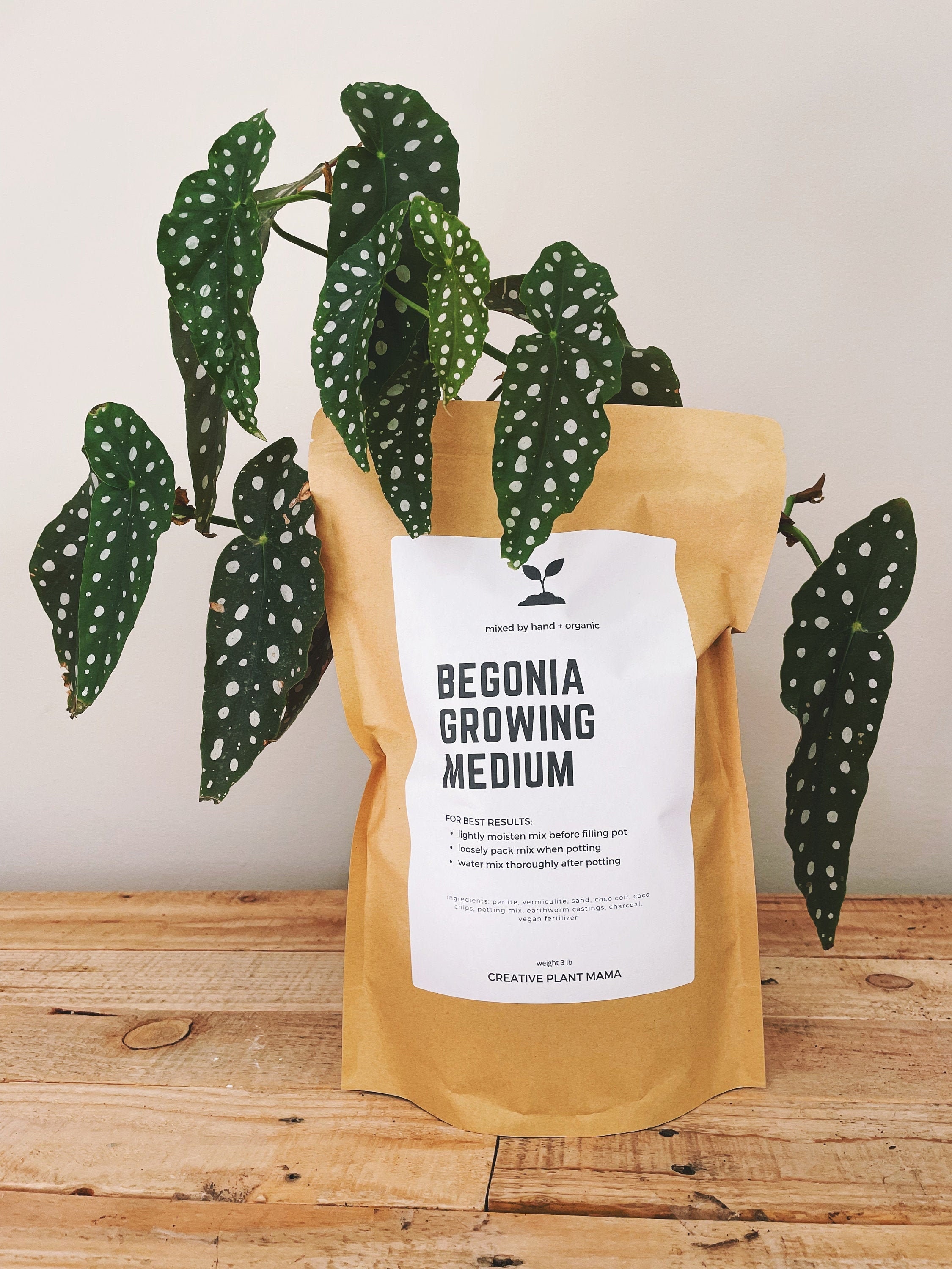 BEGONIA Soil Mix - Houseplant Growing Medium - 3 LB / 2 Gallon - Etsy