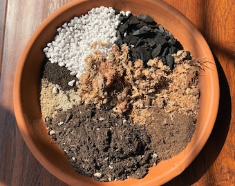 May include: A terracotta-colored, round, shallow dish filled with various soil components. The components include white perlite, black charcoal, brown sphagnum moss, and dark soil, arranged in sections. The dish sits on a wooden surface.