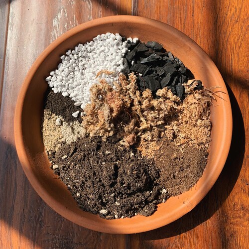 Succulent & Cactus Potting Soil Mix Ideal Premium Indoor Etsy