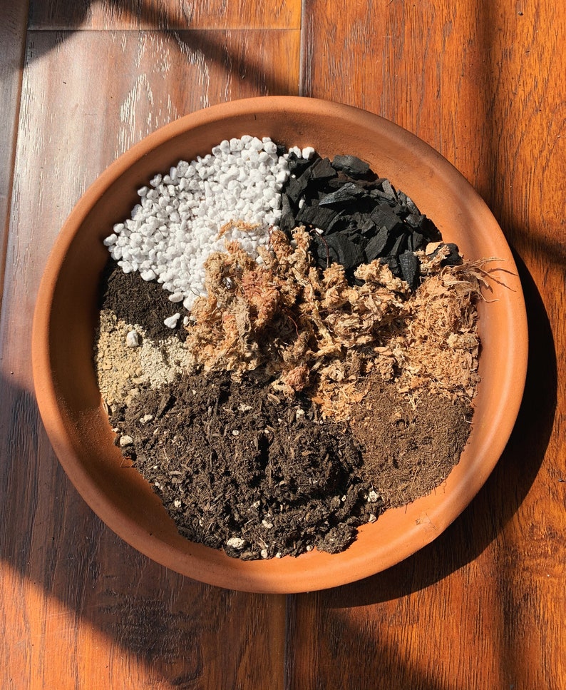 May include: A terracotta-colored, round, shallow dish filled with various soil components. The components include white perlite, black charcoal, brown sphagnum moss, and dark soil, arranged in sections. The dish sits on a wooden surface.