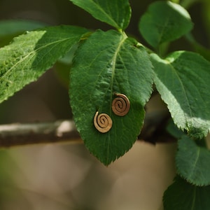 Puede incluir: Dos pendientes pequeños en forma de espiral descansan sobre una hoja verde. Los pendientes son de un color marrón dorado cálido, y la hoja es de un verde vibrante. El fondo está borroso, lo que sugiere un entorno natural al aire libre. Los pendientes son una joya.