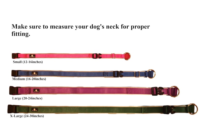 Personalized Reflective Padded Neoprene Hypoallergenic Etsy