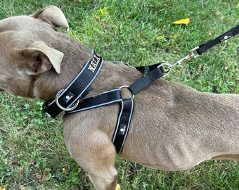 Personalized Dog Collar, Harness Leash Set: Neoprene