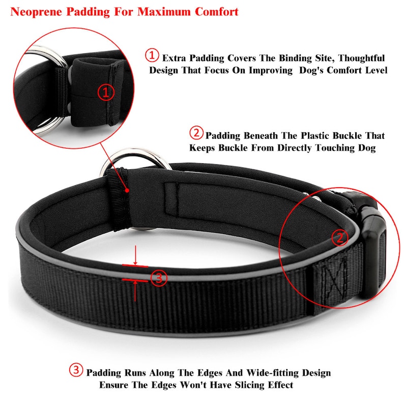 Personalized Reflective Padded Neoprene Hypoallergenic Etsy