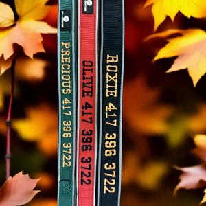 The Best Collar Your Dog Can Have!  Embroidered with Personalization, Safe, and a Great Gift for Fall, Autumn, Halloween, and Thanksgiving