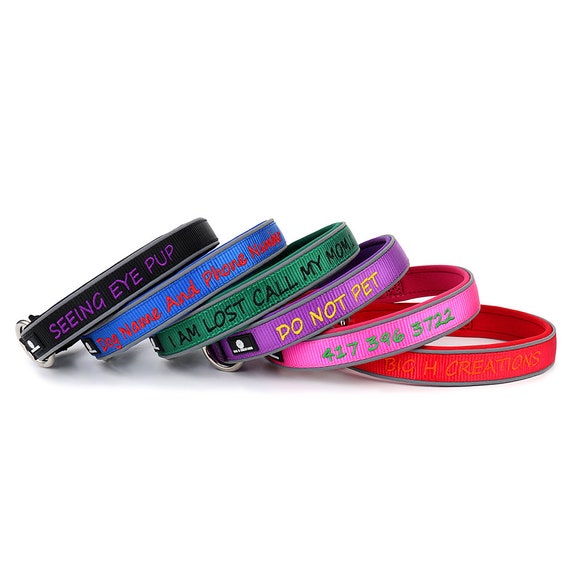 keep safe dog collar