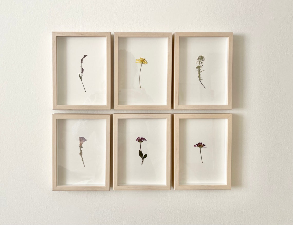 Pressed Wild Flower Wall Art Framed Wall Art Minimalistic Etsy