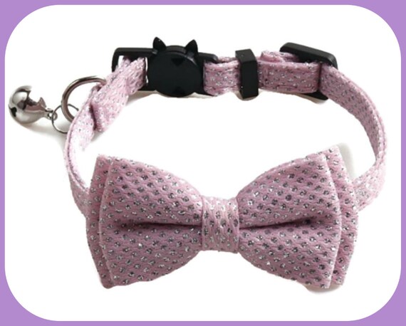 dorwest kelp seaweed powder