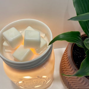 Soy Wax Melts, Soy Wax Tarts, Scented Wax Melts | 100% Soy Wax Hand Poured, Choose Your Own Scent From 19 Scent Options!
