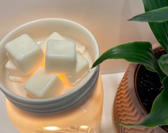 Soy Wax Melts, Soy Wax Tarts, Scented Wax Melts | 100% Soy Wax Hand Poured, Choose Your Own Scent From 19 Scent Options!