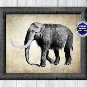 Mammoth Drawing - Mammoth Print - Mammoth Art - Mammoth Printing - Ancient Art - Prehistoric Vintage - INSTANT DOWNLOAD - PRINTABLE - 24