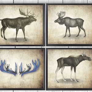 Moose Drawing - Set of 4 Moose Print - Moose Art - Sketch - Stag - Living Room Gift Idea - INSTANT DOWNLOAD - PRINTABLE - #3000