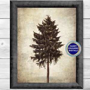 Spruce Tree Painting Vintage - Printable Tree Print - Wall Print - Vintage Tree Art - Tree Print - INSTANT DOWNLOAD - PRINTABLE - 27