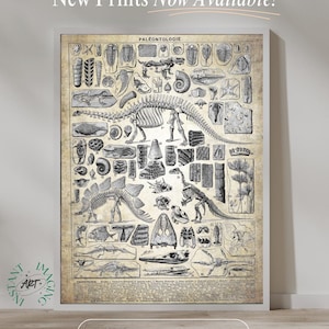 INSTANT DOWNLOAD, Dinosaur Print, Archaeology, Archaeologist, Paleontology Poster, Fossils Art, Paleontologist Museum Print NSK1034