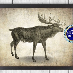 Moose Drawing -  Moose Print - Moose Art - Sketch - Moose - Living Room Gift Idea - INSTANT DOWNLOAD - PRINTABLE - #10