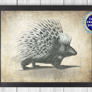 Porcupine Art - Porcupine Print - Porcupine Drawing - Sketch - Porcupine Picture - Living Room Gift Idea - INSTANT DOWNLOAD - PRINTABLE - #6