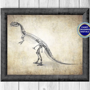 May include: A black and white illustration of a dinosaur skeleton on a vintage-style background. The image is framed in a black frame.