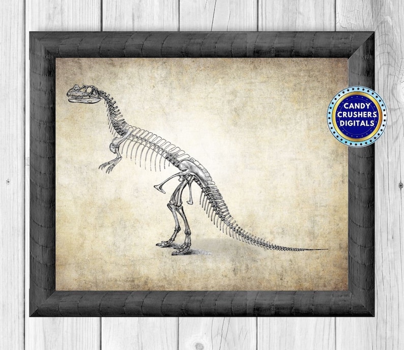 May include: A black and white illustration of a dinosaur skeleton on a vintage-style background. The image is framed in a black frame.