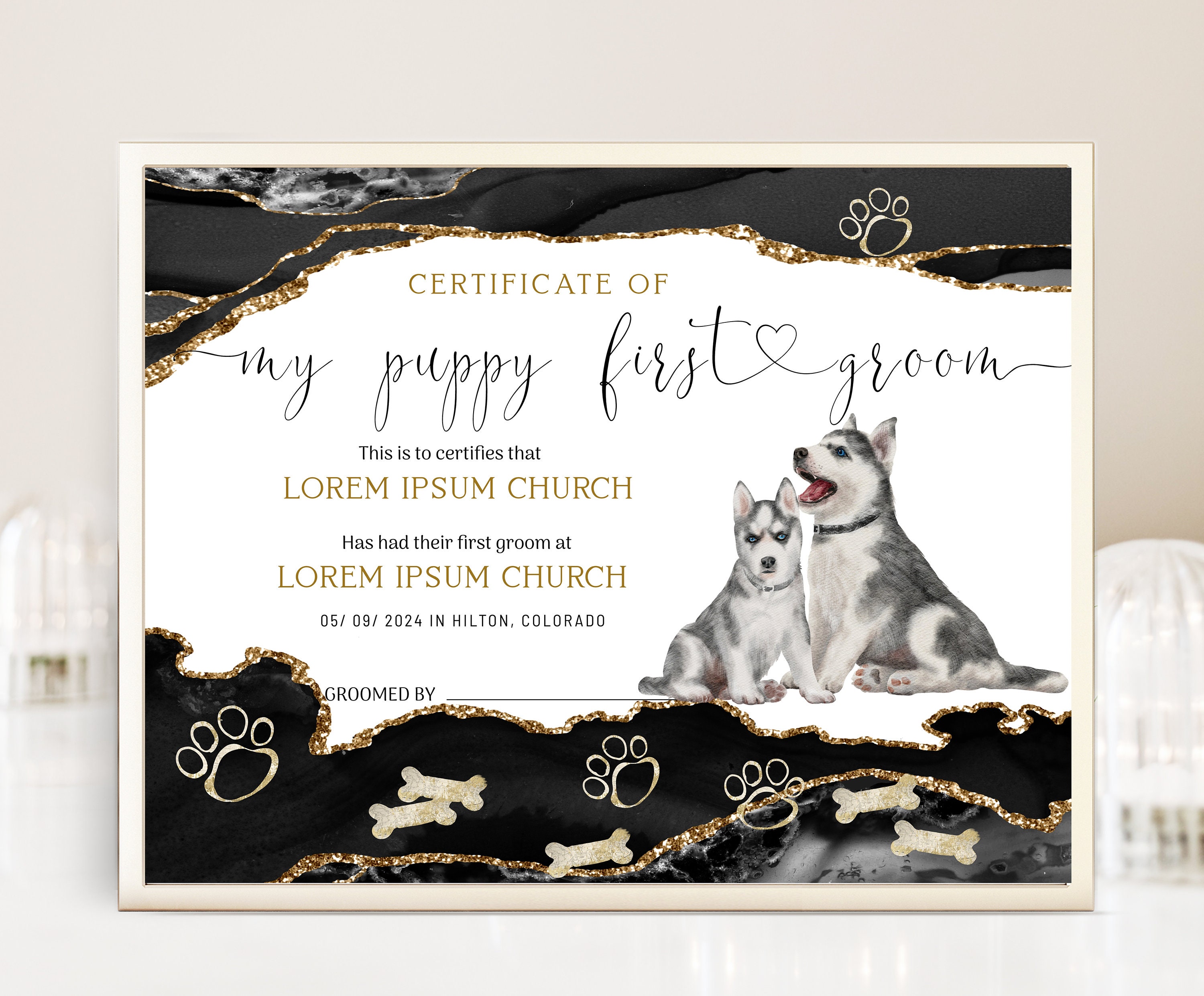 Do You Need A Certification To Be A Dog Groomer